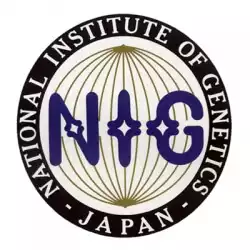 National Institute Of Genetics