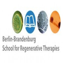 Berlin-Brandenburg School for Regenerative Therapies (BSRT)