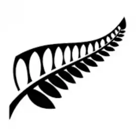 New Zealand Government Scholarship programs