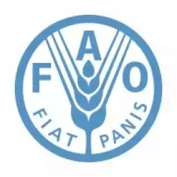 Food and Agriculture Organization (FAO) Scholarship programs