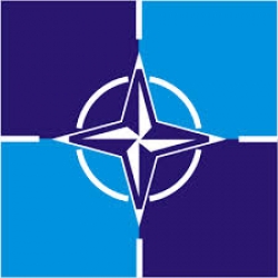 North Atlantic Treaty Organization (NATO) Internship programs