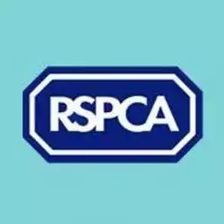 Royal Society for the Prevention of Cruelty to Animals Scholarship programs