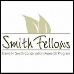 Smith Fellows Scholarship programs