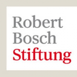 Robert Bosch Stiftung Internship programs