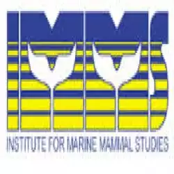 Institute For Marine Mammal Studies Internship programs