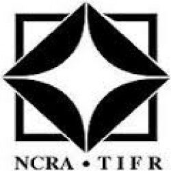 National Centre For Radio Astrophysics Of Tata Institute Of Fundamental Research Internship programs
