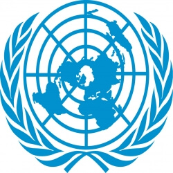 The United Nations Department Of Public Information