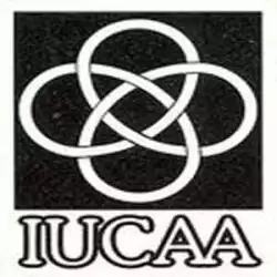 Inter-University Centre For Astronomy And Astrophysics (IUCAA) Internship programs