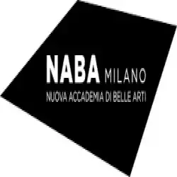 Nuova Accademia di Belle Arti (New Academy of Fine Arts) Scholarship programs
