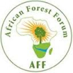 The African Forest Forum
