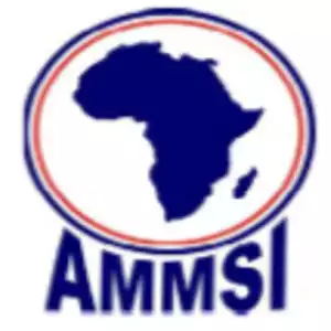 African Mathematics Millennium Science Initiative (AMMSI)