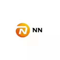 Nationale-Nederlanden Scholarship programs