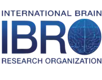 The International Brain Research Organization (IBRO) 