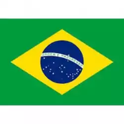 Government of Brazil