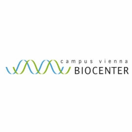Vienna Biocenter Internship programs