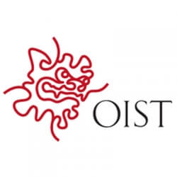 Okinawa Institute Of Science And Technology (OIST) Internship programs
