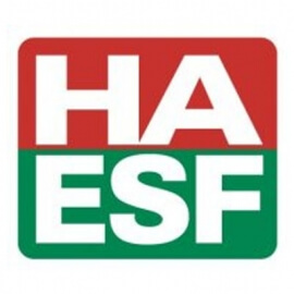 Hungarian American Enterprise Fund