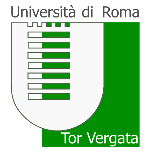 University of Rome Tor Vergata Scholarship programs