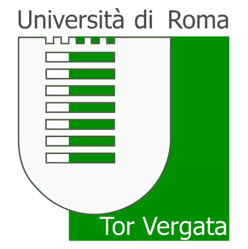 University of Rome Tor Vergata Scholarship programs