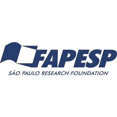 São Paulo Research Foundation