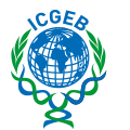 International Centre for Genetic Engineering and Biotechnology (ICGEB) Scholarship programs