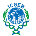 International Centre for Genetic Engineering and Biotechnology (ICGEB) Scholarship programs
