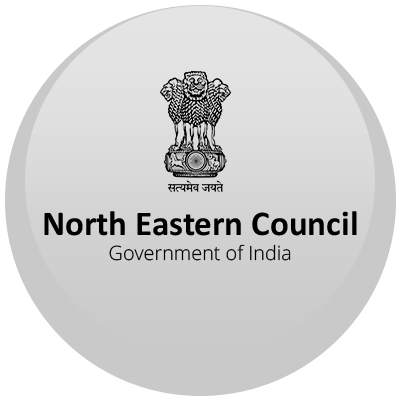 North Eastern Council 
