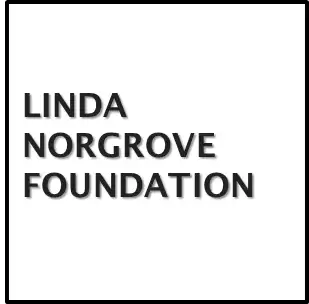 Linda Norgrove Foundation Scholarship programs