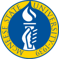 McNeese State University Scholarship programs