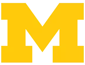 University of Michigan Course/Program Name