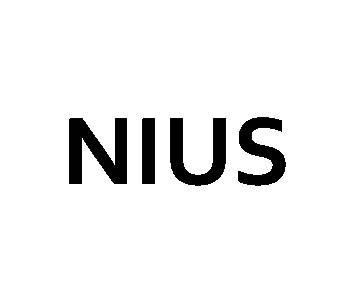 The National Initiative on Undergraduate Science (NIUS) Internship programs