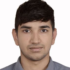 Vipin  Meena 