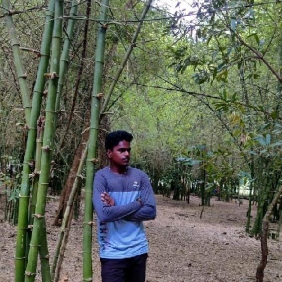 Chirpykumaran Vellai Chinnasamy
