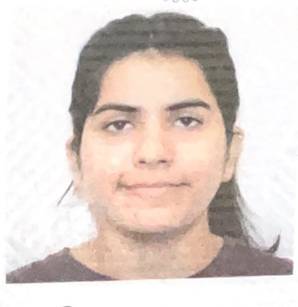 Palak