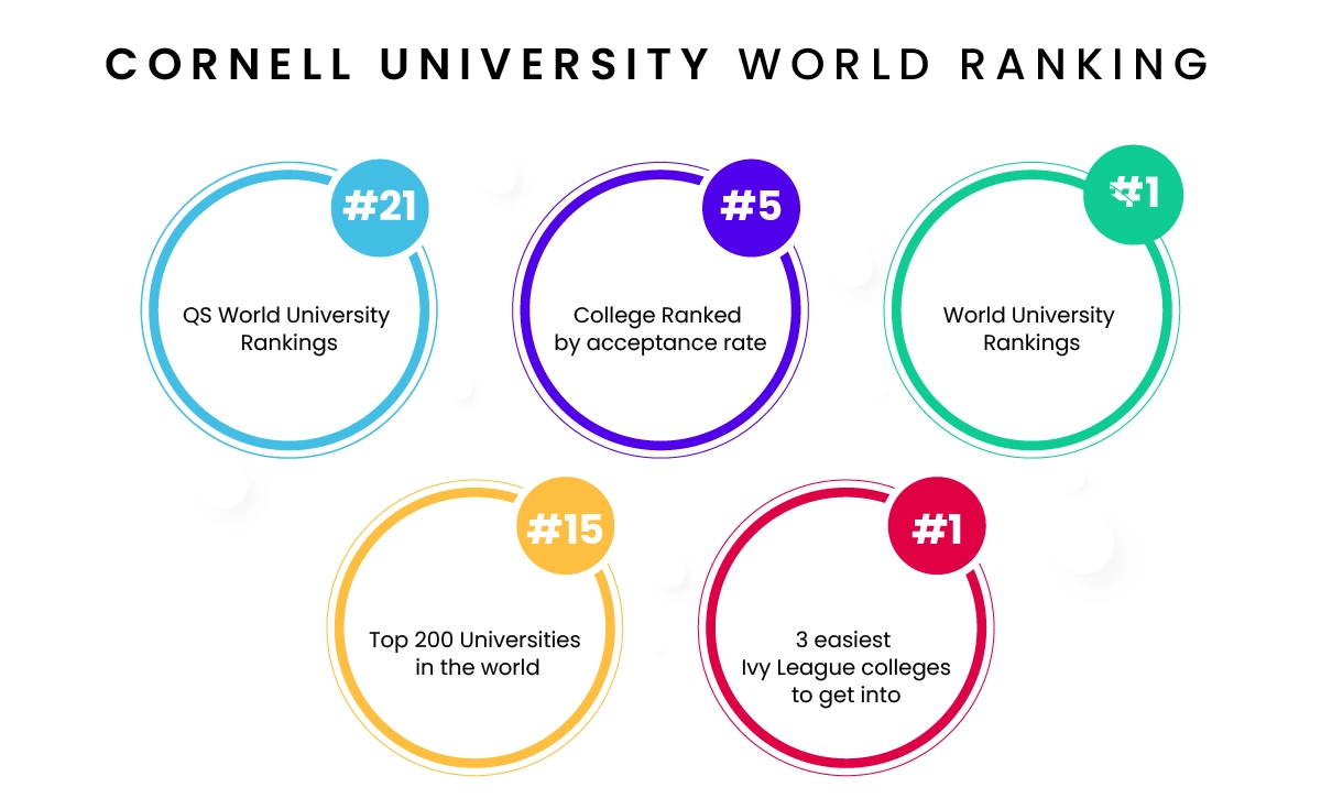 Cornell University Ranking
